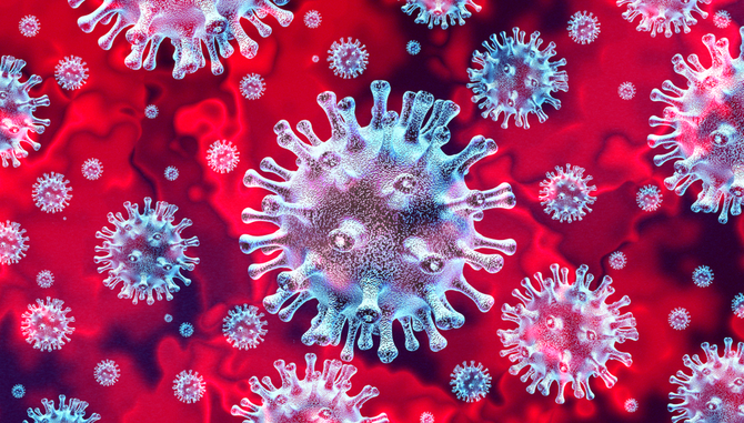 lynx koronavirus w670h381